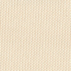 Outdoor Blind Fabric: Classic Cream 99