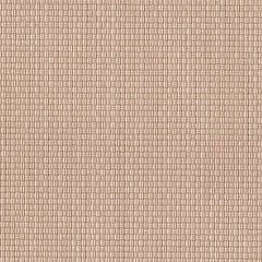 Outdoor Blind Fabric: Paperbark 99